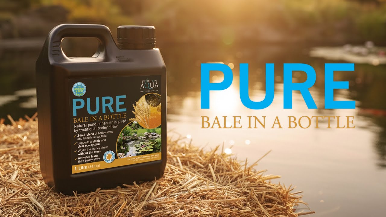 Evolution Aqua Pure Bale in a Bottle