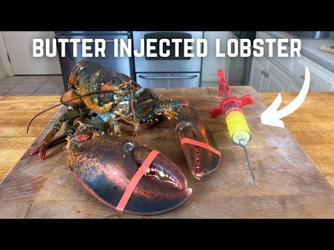 Butter Injected Lobster 🦞