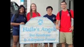 Homeward Bownd - Haile's Angels