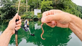 Worm Fishing Made Easy | Catch TONS of Fish Every Trip