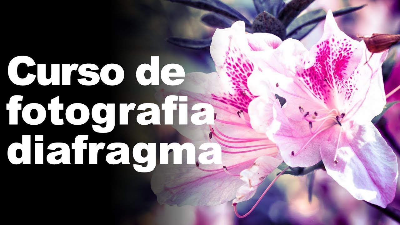 CURSO DE FOTOGRAFIA -  DIAFRAGMA (AULA 3)