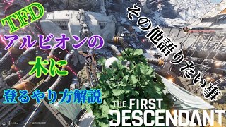 [TFD]アルビオンの旧正月に生えてる木に登るやり方解説[TheFirstDescendant]