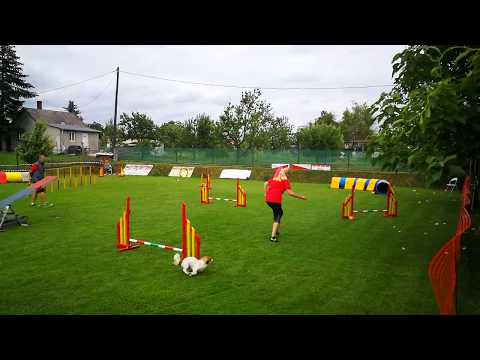A-Team Agility Kupa 2020.06.20. - Dorka Open Agility