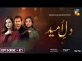 Dil-e-umeed episode 1|Wahaj Ali,sehar Khan,sana Javed,Danish tamoor, Hum tv drama