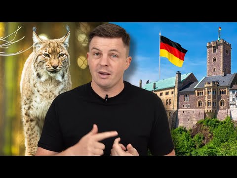 I Traveled GERMANY Off The Beaten Path (and found Wild Cats!)