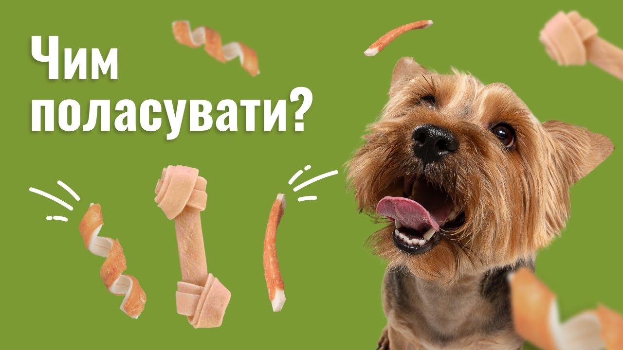 YouTube video preview