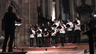 "Hymn to freedom" par "Le bon tempérament" à Marmoutier 12 09 2015 - vidéo Dany Fischer