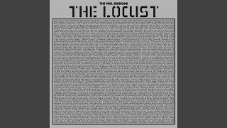 Straight from the Horse&#39;s Mouth