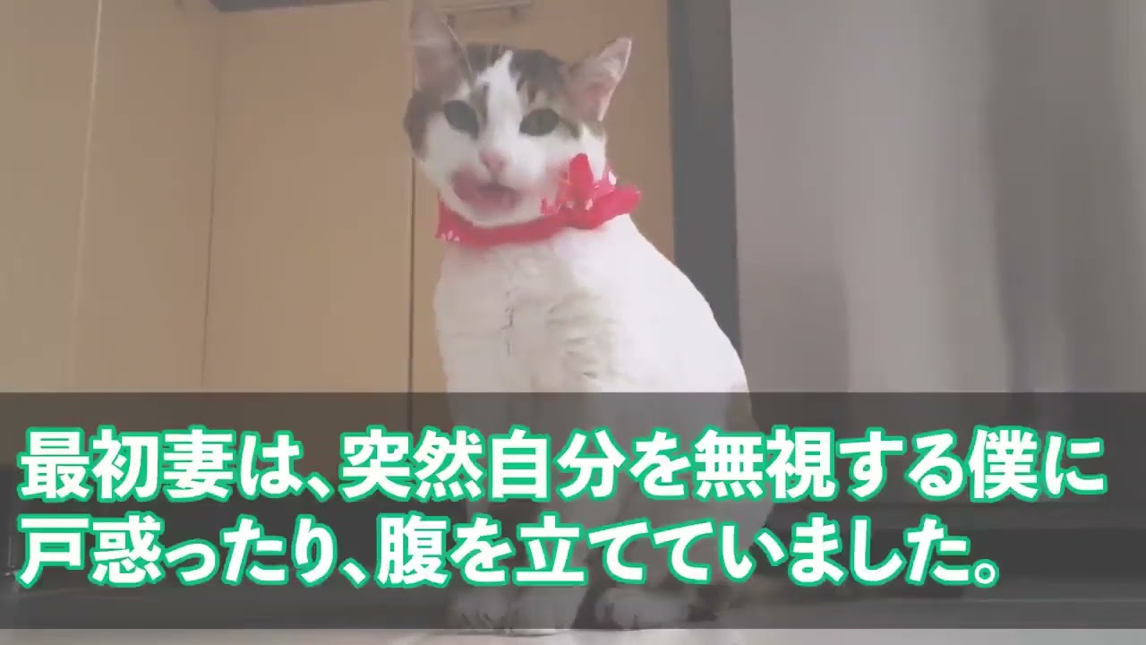 【スカッとする話】つわりが酷いと言っていた嫁が自宅で間男と真っ最中！狂気に満ちた夫はこの後・・・