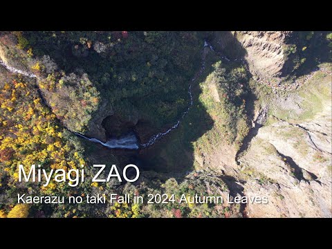 [4K] Miyagi ZAO Kaerazu Fall in 2024 Autumn Leaves / 宮城蔵王 不帰の滝 2024 紅葉