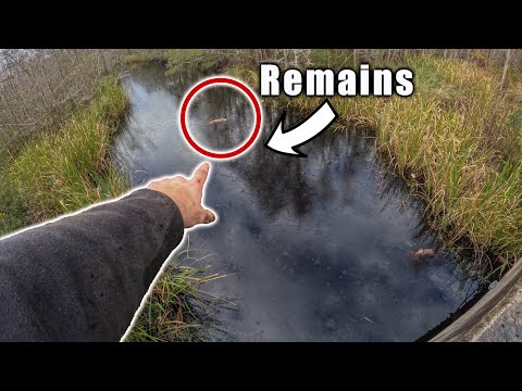 Magnet Fishing The Site Of A Tragedy - Remains Found Floating In The River (Who Would Do This)