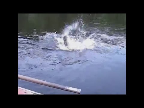 Когда НА РЫБАЛКЕ с ЖЕНОЙ!!!