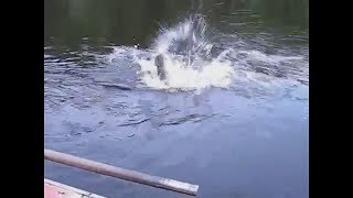 Муж отпрашивается у жены на рыбалку