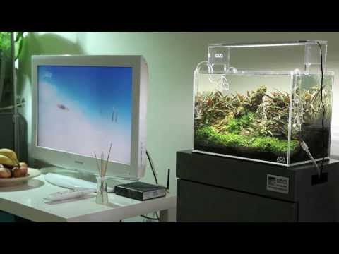 四月缺py 青島水族 102 863日本ada 頂級超白缸 Solar Mini M 36 22 26cm 5mm 露天拍賣