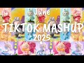 Tiktok Mashup June 2025 Not Clean