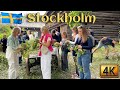 Sweden S Stockholm Midsummer Walk スウェーデンのストックホルム ミッドサマーウ�