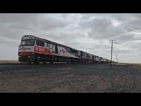 6MP9 SCT down "Dark Ghost" (4 locos, 93P), Laverton to Forrestfield, 1000, 10/1/26, Dooen East VIC 