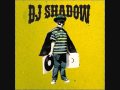 DJ Shadow - Midnight In A Perfect World ...