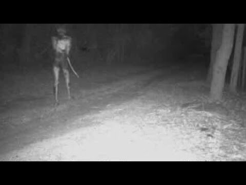This Camera Captured Something It Shouldn’t Have
