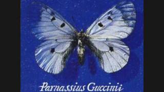 Francesco Guccini - Non bisognerebbe - 1993