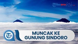Muncak ke Gunung Sindoro dengan Tinggi 3.150 Mdpl, Terletak di Kabupaten Temanggung dan Wonosobo