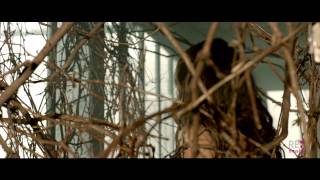 Antonia feat  Jay Sean   Wild Horses HD