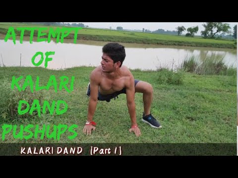 Vidyut Jammwal's Kalari Dand  (Push Ups)  Part 1