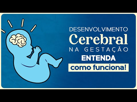Mariana Mazzuia Guimarães-14