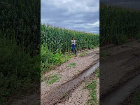 VENDO CAMPO - ZONA SANTA ROSA DEL CONLARA