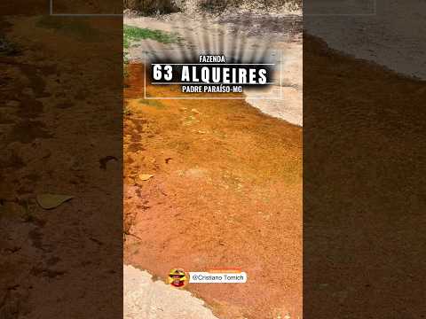 FAZENDA 63 ALQUEIRES PADRE PARAÍSO-MG R$ 4.5 MILHÕES #agro #fazenda #imobiliaria #minasgerais