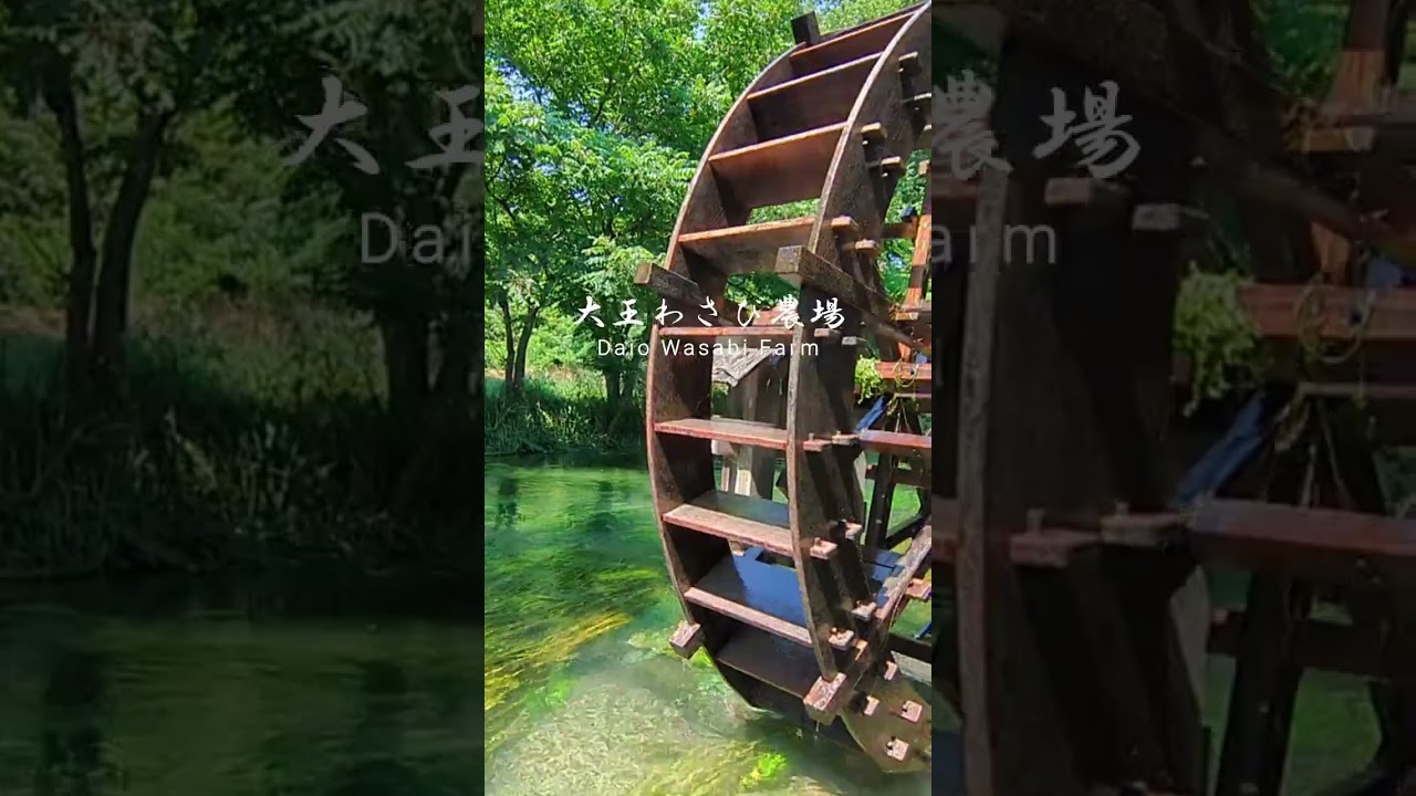 YouTube Short thumbnail