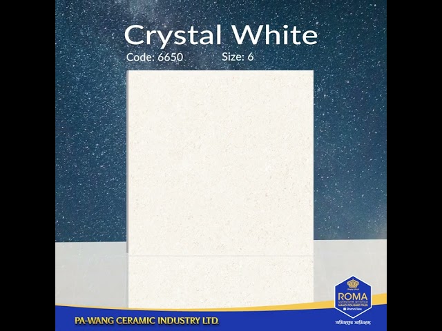 New Arrival ROMA Tiles Code- 6650