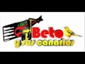 Mi Tristeza (beto y sus canarios)
