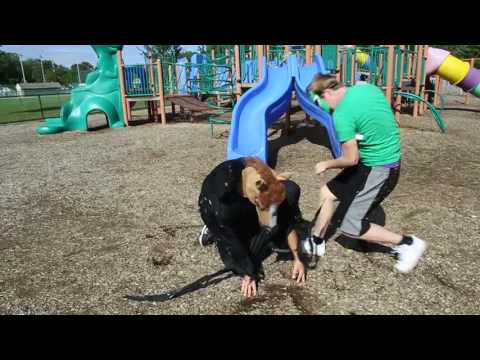 Street Rangers - Music Video - Mike Ziembe, Brandon Costa, and Steven Nichelson (2016)