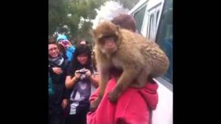 Gibraltar Trip by ErasmuSevilla.com