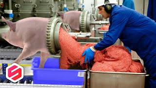 Download lagu JANGAN KAGET, BAHAN MAKANAN INI TERNYATA TERBUAT DARI BABI.. 🐷 mp3