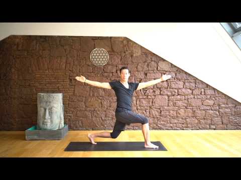 13 Krieger Variationen Gedrehter Krieger 2 Der Yoga Coach by Stephan Suh