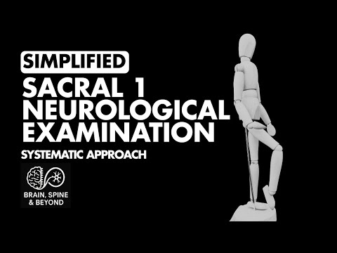 How to Examine S1 Nerve Root? Neurological Examination Simplified