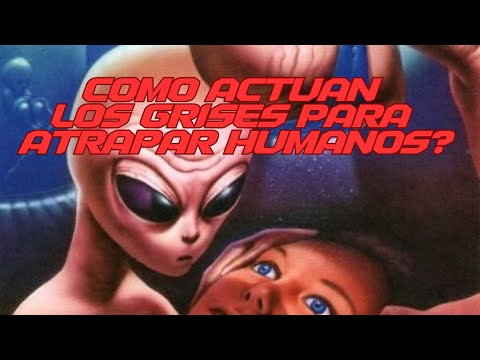 COMO ACTUAN LOS GRISES PARA ATRAPAR HUMANOS