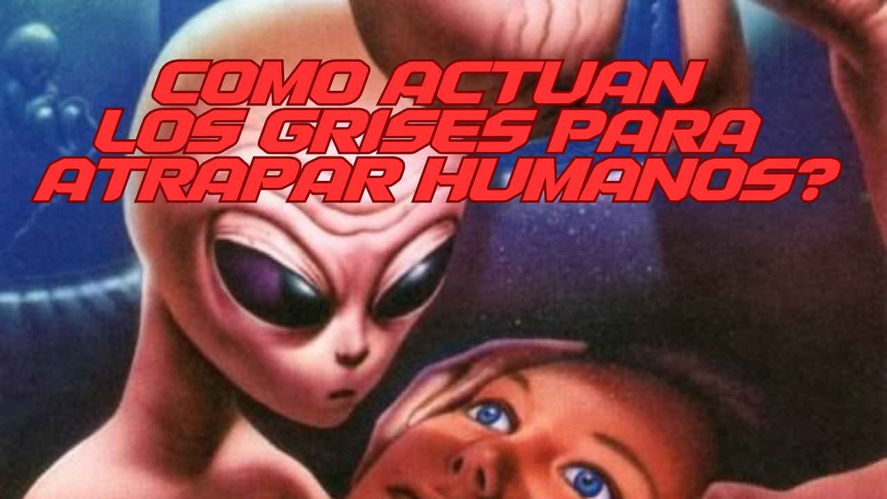 COMO ACTUAN LOS GRISES PARA ATRAPAR HUMANOS