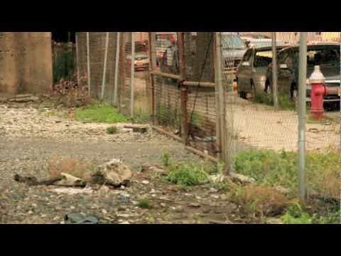 cat with overly dramatic music