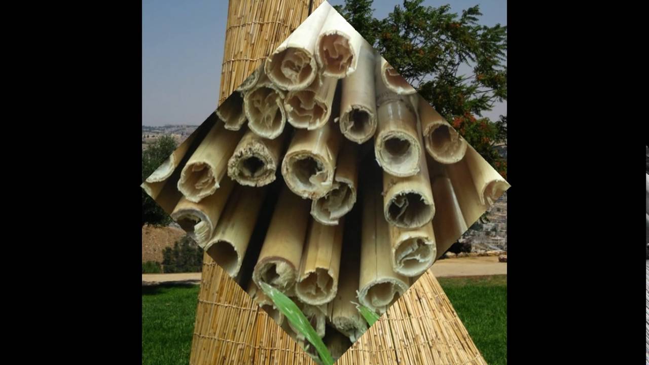 סכך לסוכה - חייג 072-2133333