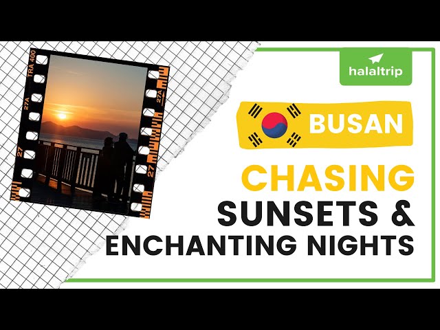 Fall in Busan: Sunsets & Enchanting Nights in Busan