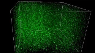 Newswise:Video Embedded scientists-create-mind-blowing-tool-to-see-millions-of-brain-cell-connections-in-mice