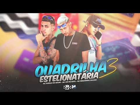 MC MURILO DO RECIFE, MC ZOI DE GATO, MC RENATINHO FALCÃO - QUADRILHA ESTELIONATÁRIA 3 (BNB NO BEAT)