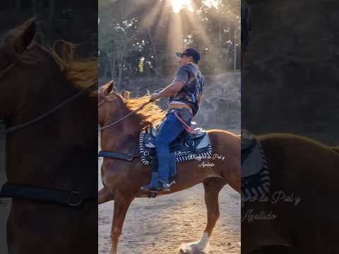 Carreras de cintas en Jerusalén, La Paz, El Salvador jinete Fredy en su #ejemplar el Dorado