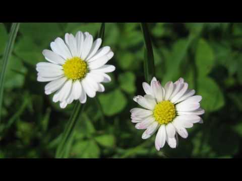 Kathi Stimmer-Salzeder - Manchmal braucht es keine Worte