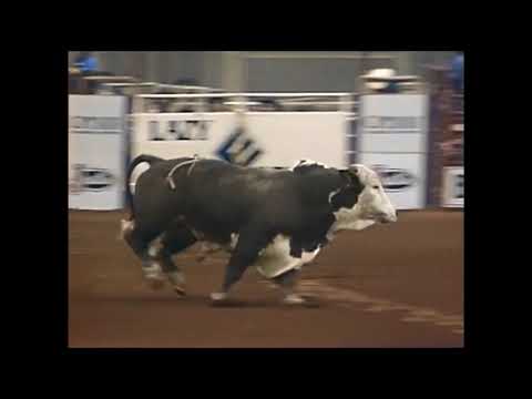 Sugar Bear bucks David Fournier - 94 PBR Guthrie
