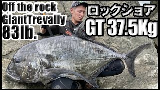 【ロックショアGT37.5キロ】ヒットからキャッチまでノーカットフル撮影、GT遠征！off the rock Giant Trevally#1