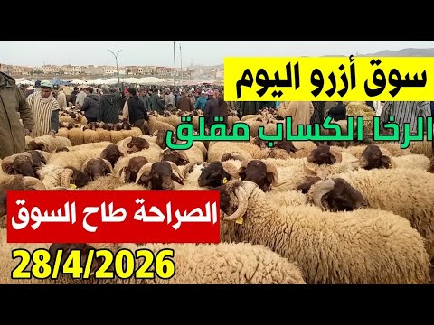 الله على سوق الثلاثاء أزرو 28/4/2026 أثمنة حولي عيد الأضحى والخروف الكسابي والخروفة فرجة ممتعة 